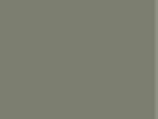 Die Farbe Warm Eukalyptus
